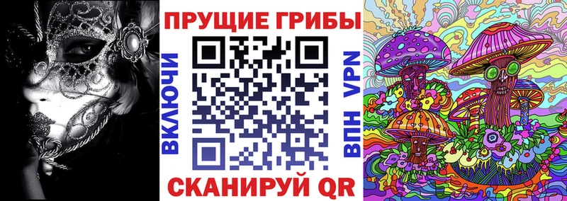 Псилоцибиновые грибы MAGIC MUSHROOMS  Заинск 